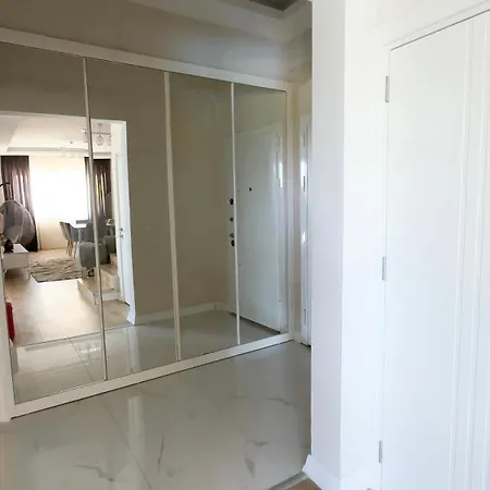 Lee Belek
